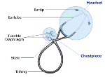 Stethoscope
